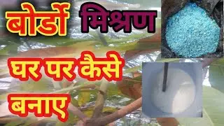 how to make Bordo mishran. वोर्डो मिश्रण कैसे बनाए और सही उपयोग।