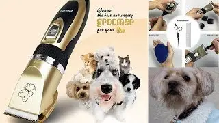 Cordless Low Noise Pet Hair Clippers Put To The Test - KARA