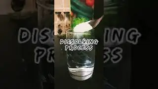 dissolving process of sugar in water, #students #projects #science experiments #dissolving.