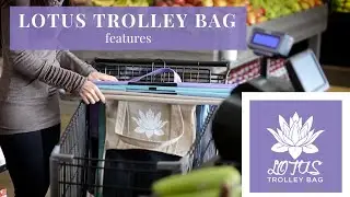 What Makes the Best Reusable Grocery Bags? Watch and Learn