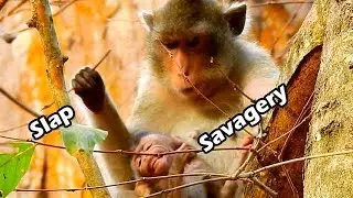 Cry Sad Poor Baby Alba Cries In front Mum Anna Cos She Slap | Alba Try To BeG Anna Milk