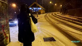 Mflex Sounds Team - Winter Night, Magic Snow, Cold Night  /Synthwave/ 4k 60fps / 2025