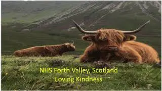 Loving kindness practice   Sequence 01