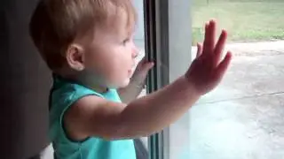 Hayden glass door
