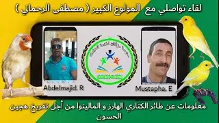 لقاء ولاعي : معلومات عن الهارز و المالينوا من أجل تفريخ هجين الحسون