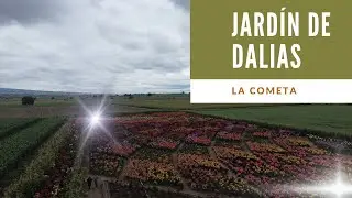 Tlaxcala y su paisajimo de Dalias 