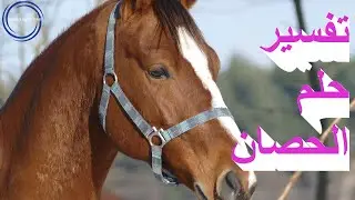 ستتعجب من تاويل ابن سيرين عن تفسير رؤية الحصان الابيض  وتفسير حلم الحصان البني للعزباء وللمتزوجه