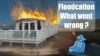 Furcation 2024: The New Rainfurrest?