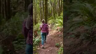 🌲💚 #pnw #pacificnorthwest #washington #forest #nature #trees