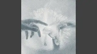 ANTIBLOOM