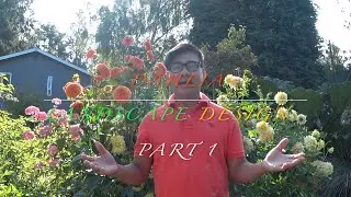 Dahlia Landscape Design & Care - Part 1