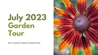 July 2023 Cut Flower Garden Tour - Zone 5b NW Chicago IL, First Year Flower Farm