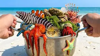 CATCH! Pufferfish, Superhero Crab, Lionfish, Giant Sea Snake, Nemo Fish & Starfish, Hermit Crab
