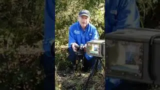 Join us on an adventure as we check our camera traps in the wilderness!