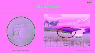 Capillary action