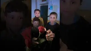 makhizai lower kurram menjari kaly