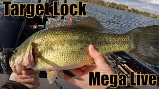 Mega Live Depth Finder Magic: Jig Fishing Deep Structure with Target Lock!