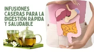 5 Infusiones Caseras para la Digesti&oacute;n R&aacute;pida y Saludable