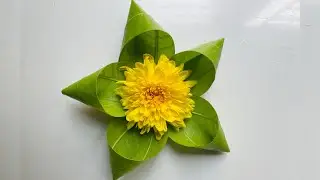 Mango leaf Decoration Ideas 🌿🙏Mango leaf Toran 🍃 Mango leaf decoration for festivals Backdrop ideas