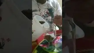 SE NÃO VOLTAR POR BEM, VEM POR MAL!!!