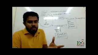 ECONLINE | Econ with Amhar 