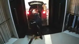 Wiener Polizei zerschlägt internationale Rammbockbande
