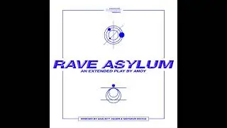 Anoy - Rave Asylum (Fauer Remix) [DIR015]