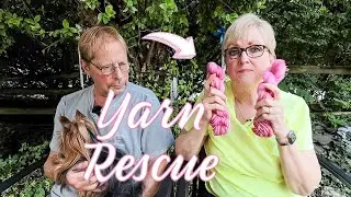 Knit Style Podcast 284- Yarn Rescue 💕🧶