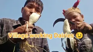 Rural Arunachal life | village work dairies | working in farm in Arunachal Pradesh 😉😉 @sanzoivlog 
