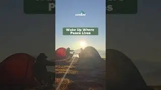 First light, fresh air, full heart. Good morning from the wild 🏕⛺️🌅