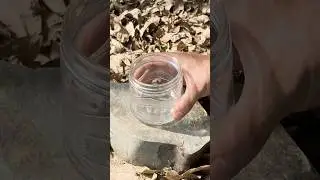 How to Make a DIY Camping Light #campping #survival #lifehacks