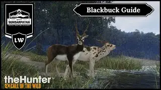 [2025] Blackbuck Guide Sundarpatan - TheHunter Call of the Wild