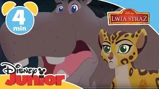 Lwia Straż - Odnaleźć Zimwe