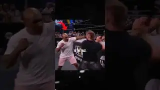 Mike Tyson Really Hit a Wrestler!