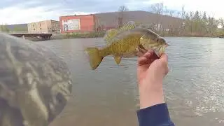 Seneca-Opener Walleye and Smallmouth Fishing Vlog! 2019