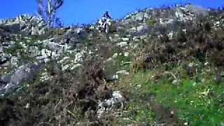 PTDC0065