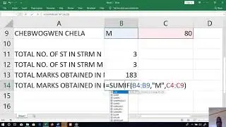 SUMIF, COUNTIF, RANK EXCEL FUNCTIONS AND FILTERING DATA IN EXCEL (KCSE COMPUTER STUDIES PAPER 2)