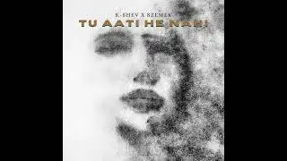 Tu Aati He Nahi - K SHEV x Szemek (Official Audio)