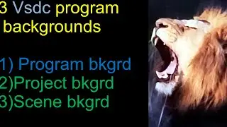 The 3 Backgrounds in VSDC- LW&C with VSDC