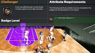 POWER of BRONZE CHALLENGER NBA 2K24!