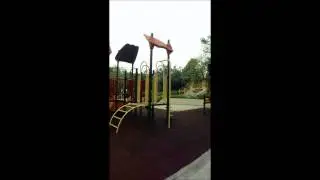 dckina's Magnet Attachment 2-in-1 0.68X Wide Angle Lens on iPad Mini