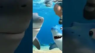 Another Vegan Shark Adventure