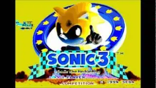 Sonic the Hedgehog 3 Music - Special Stage - Reversed
