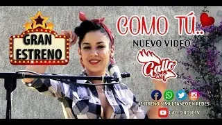 Gallo rojo - 