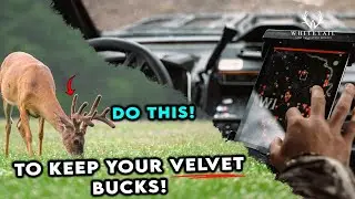 How to Keep BIG VELVET BUCKS on YOUR Property!