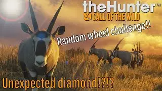 Random Wheel Gets me An Unexpected Diamond!!