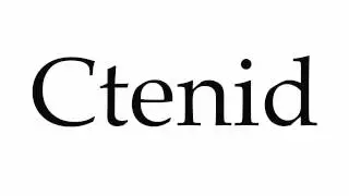 How to Pronounce Ctenid