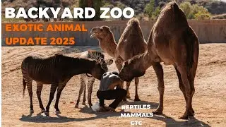 Feeding All My Animals 2025