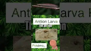 Literal Pokedex Categories  #pokemon #pokedex