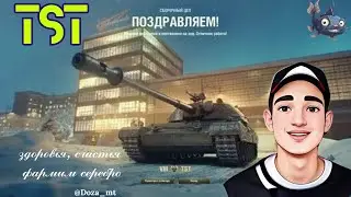 Мастер TST | 3 Отметки | 10 к суммарки
